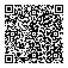 QR app_golauncherex
