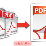 twodpf in_one_needweb
