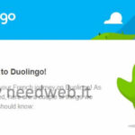 duolingo poster