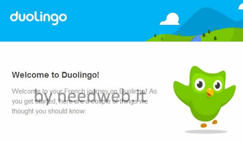 duolingo poster