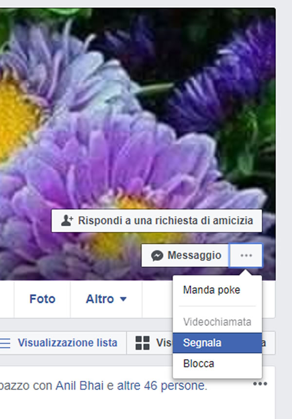 facebook fake 02
