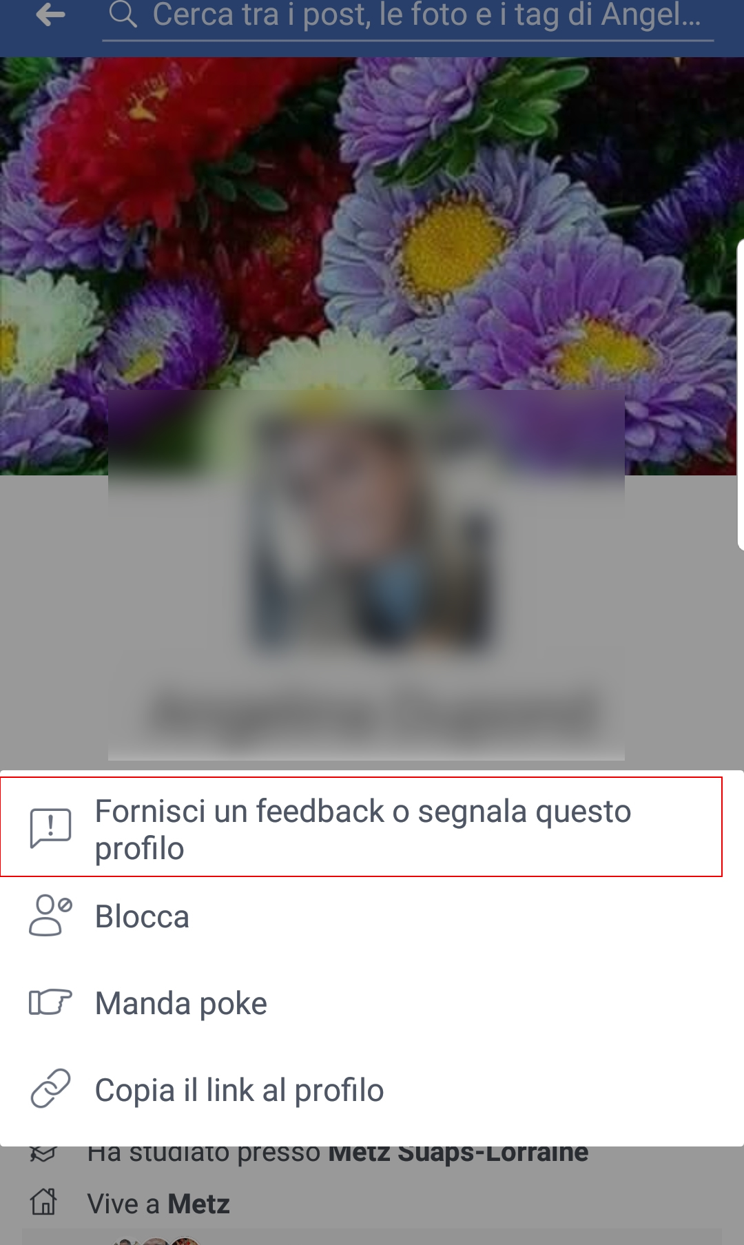 facebook fake 03